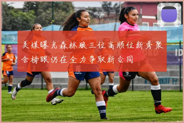 美媒曝光森林狼三位高顺位新秀聚会榜眼仍在全力争取新合同